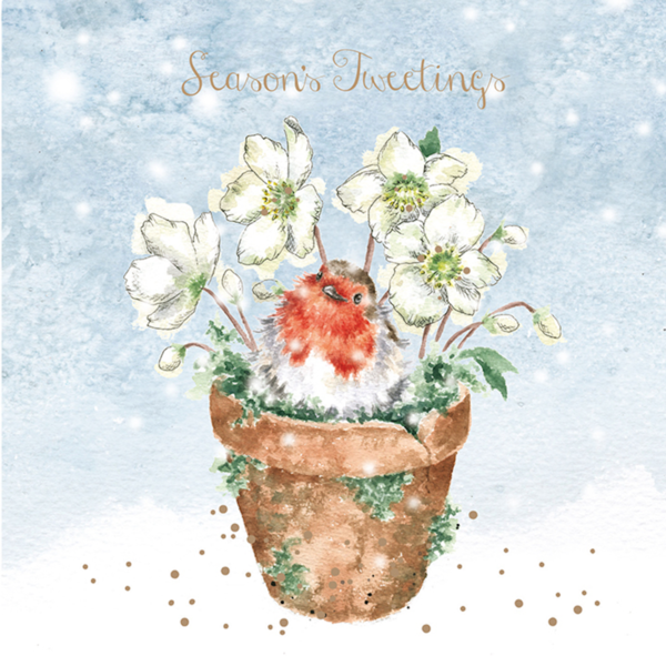 Kartenset Christmas ROTKEHLCHEN Season's Tweetings von Wrendale Designs aus England