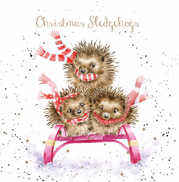 Kartenset Christmas IGEL Christmas Sledgehogs von Wrendale Designs aus England