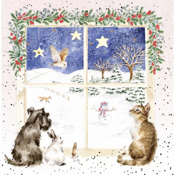 Kartenset Christmas HUND & KATZE Joy to the World von Wrendale Designs aus England